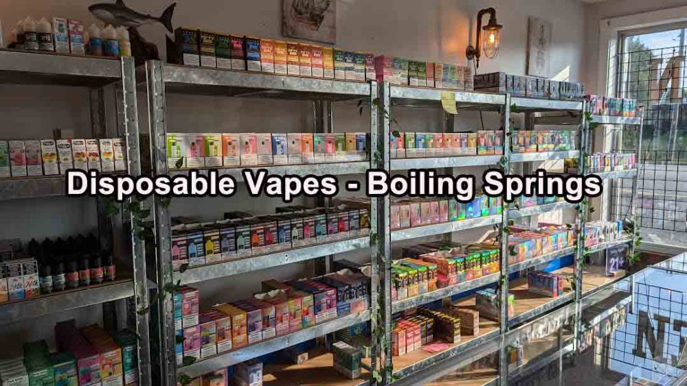 Disposable Vapes - Boiling Springs