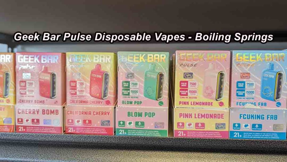 Geek Bar Pulse Disposable Vapes - Boiling Springs