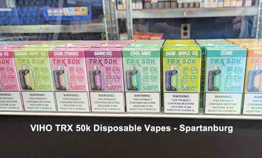 VIHO Disposable Vapes - Spartanburg